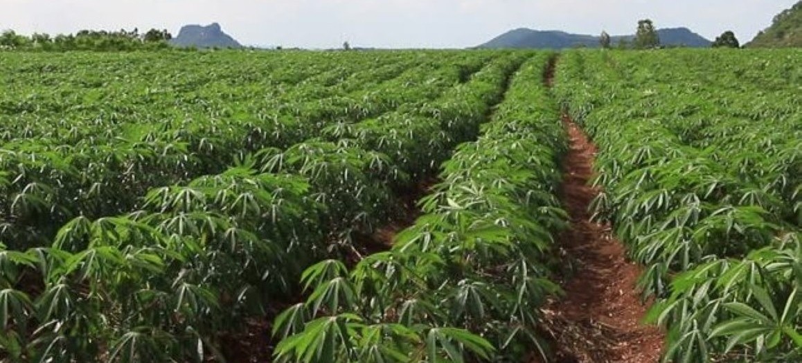 AgroAI Image
